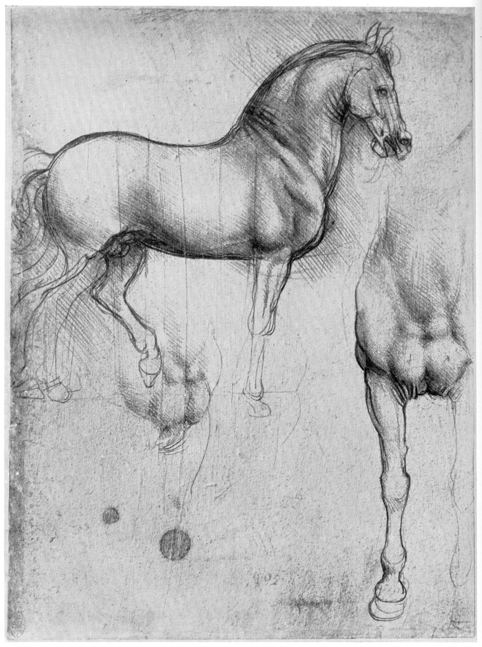 Studien von Pferden, um 1490 1954 von Leonardo da Vinci