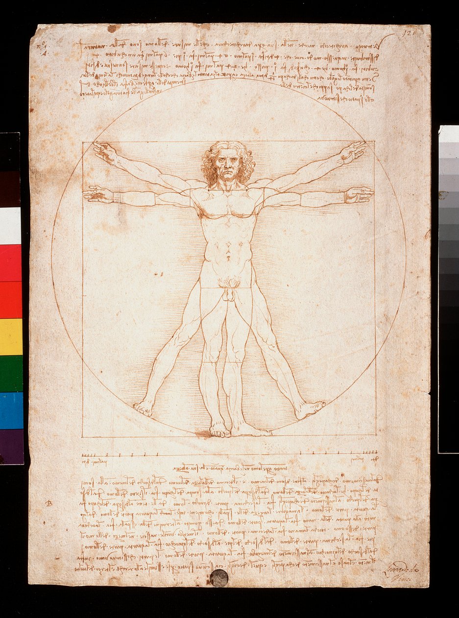 Der vitruvianische Mensch von Leonardo da Vinci