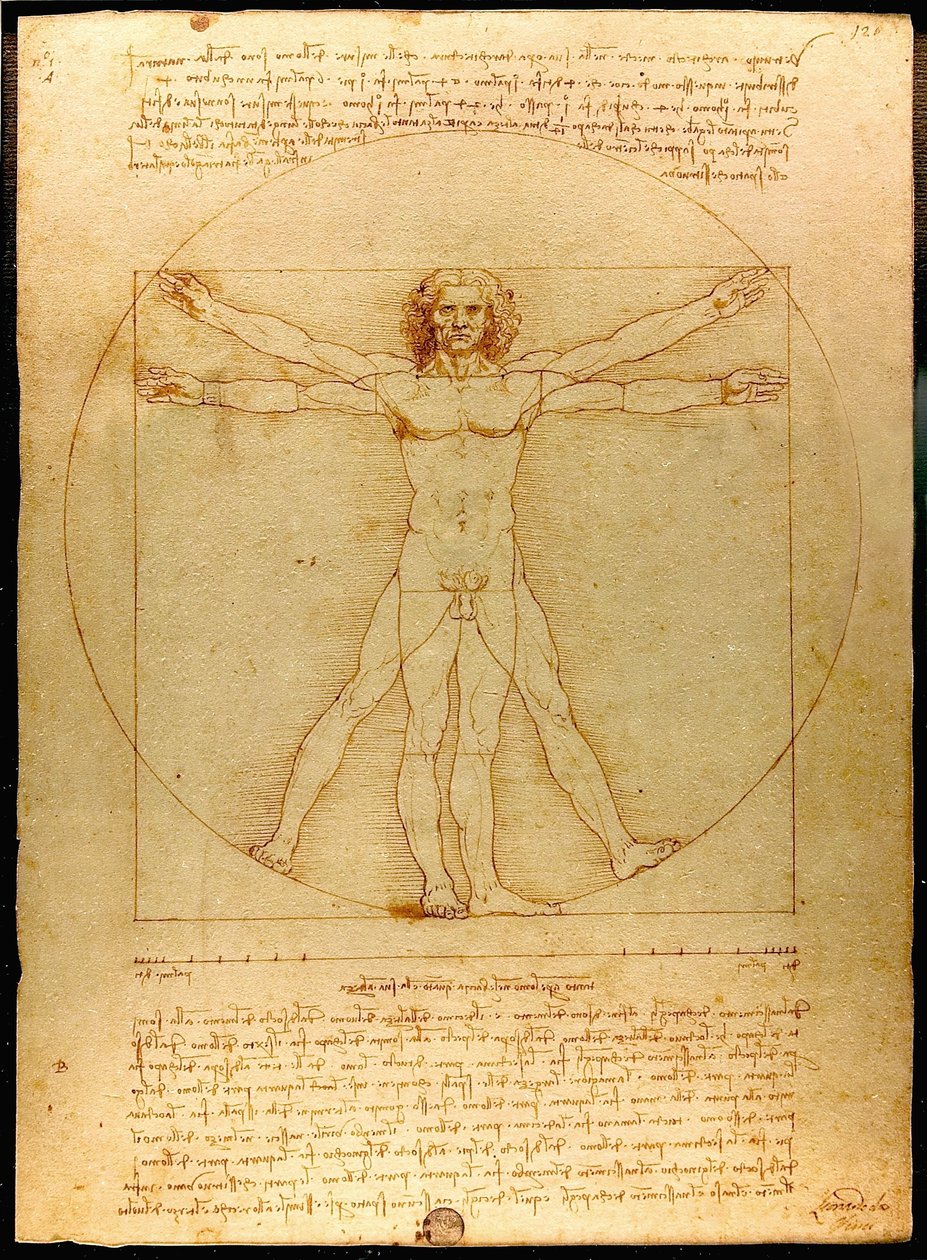 Vitruvianischer Mensch von Leonardo da Vinci