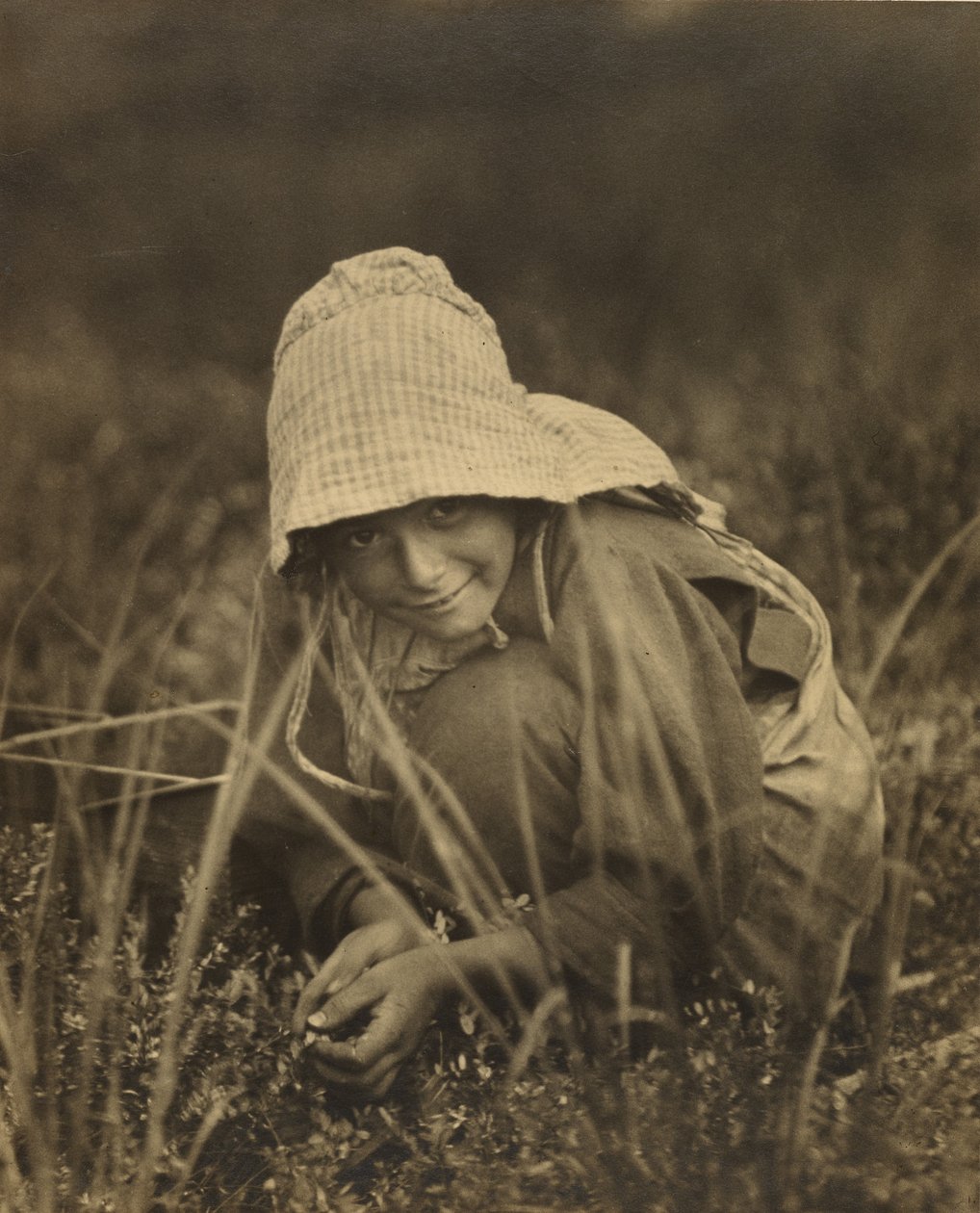 Cranberry-Pflücker, New Jersey von Lewis W. Hine