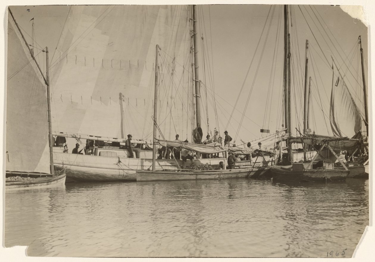 Austerboote, Mobile Bay, Alabama von Lewis W. Hine