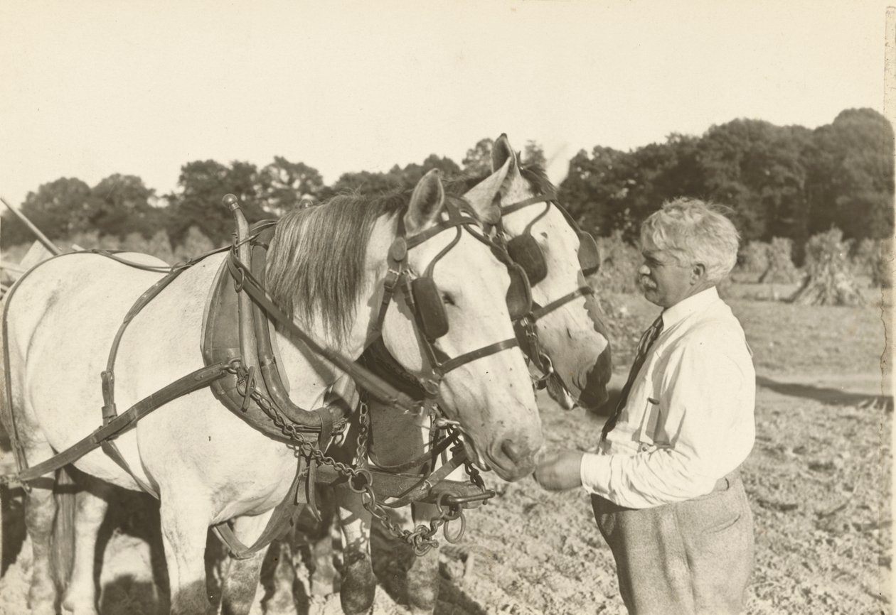 Ohne Titel von Lewis Wickes Hine