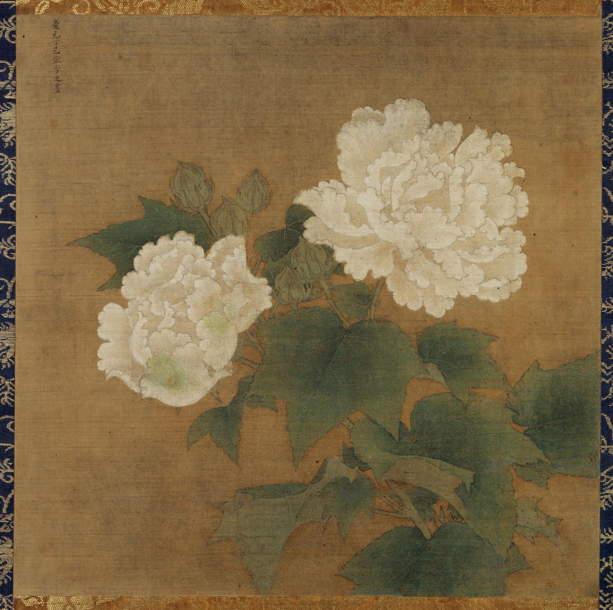 Weiße Hibiskusblüten von Li Di