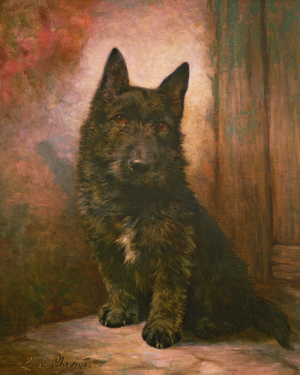 Scottie-Welpe von Lilian Cheviot