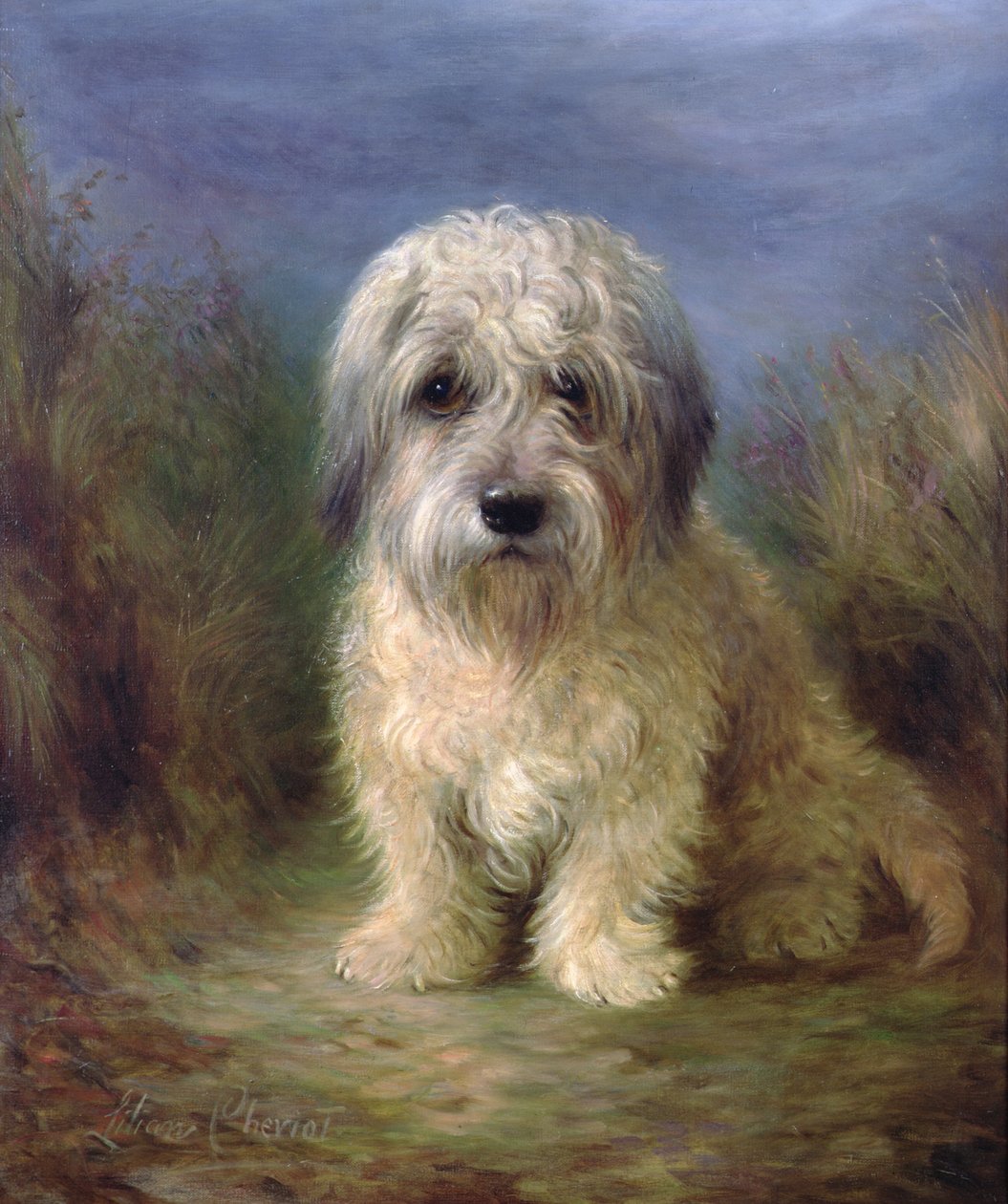 Dandie Dinmont Terrier von Lilian Cheviot