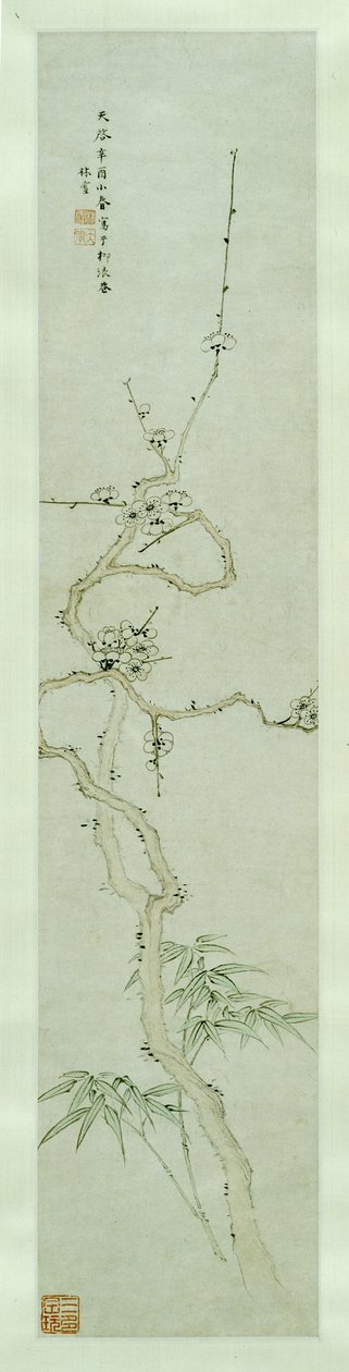 Prunus und Bambus von Lin Xue