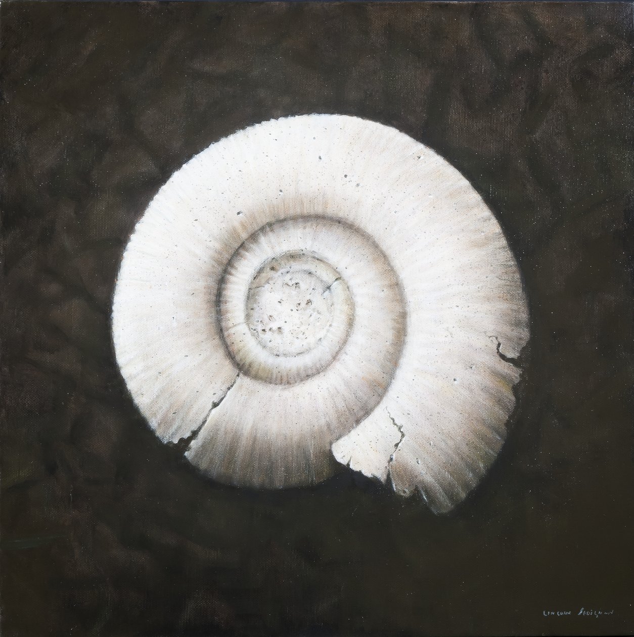 Amononite, 2012 von Lincoln Seligman