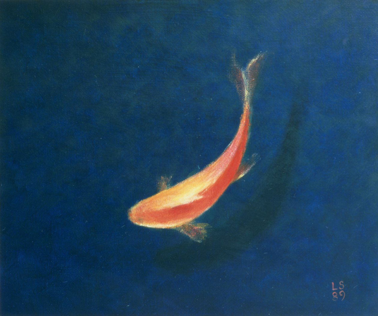 Goldfisch von Lincoln Seligman