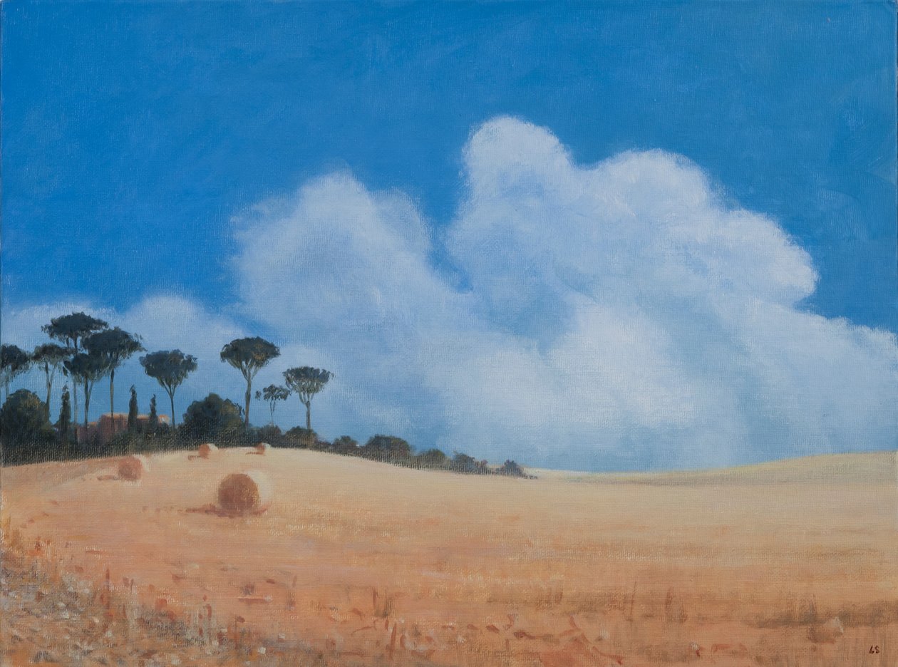 Landschaft bei Paganico, 2012 von Lincoln Seligman