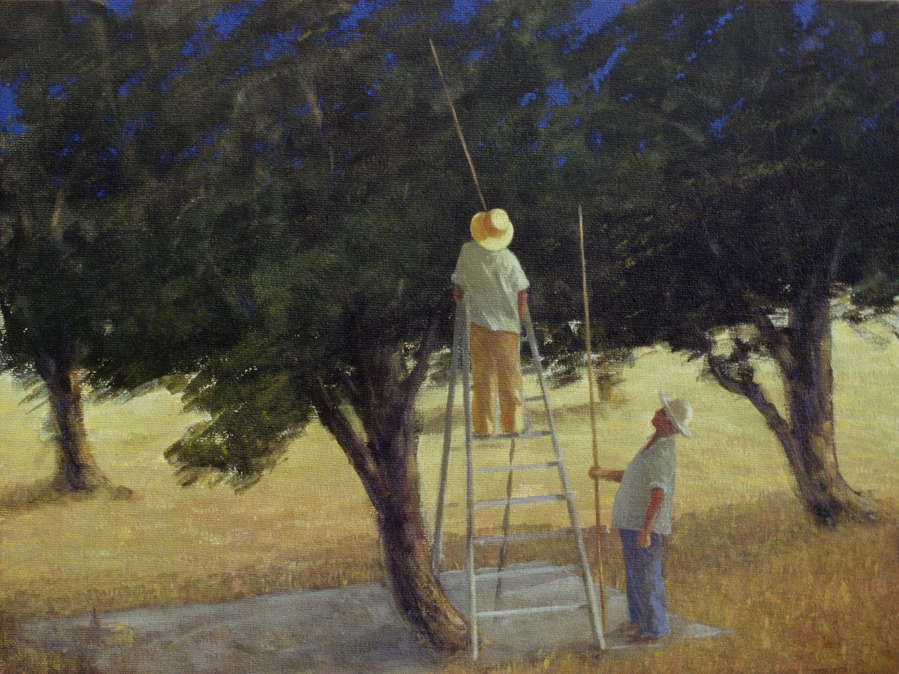 Olivenpflücker, 1985 von Lincoln Seligman