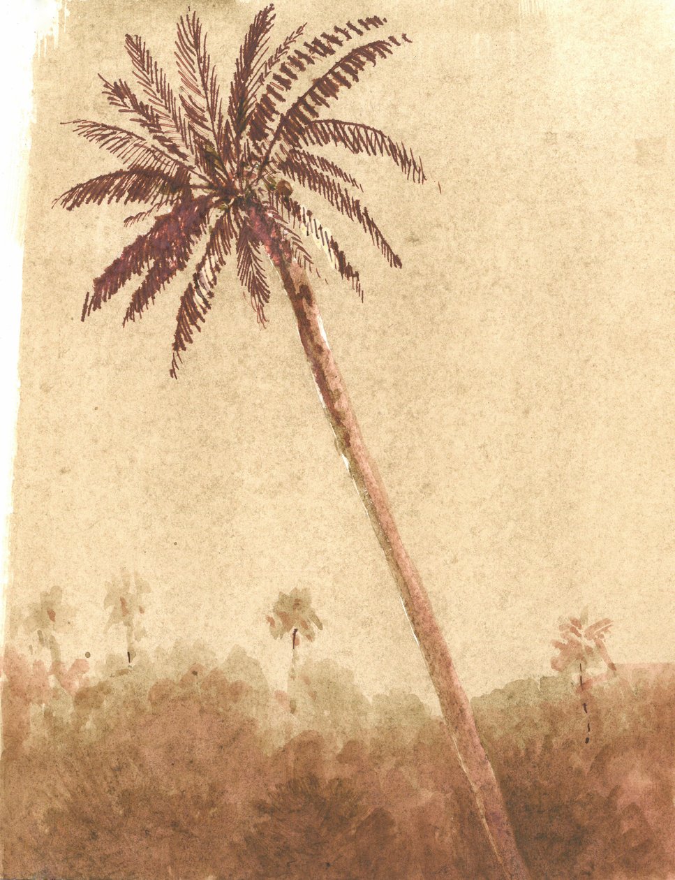 Palme, 2015 von Lincoln Seligman
