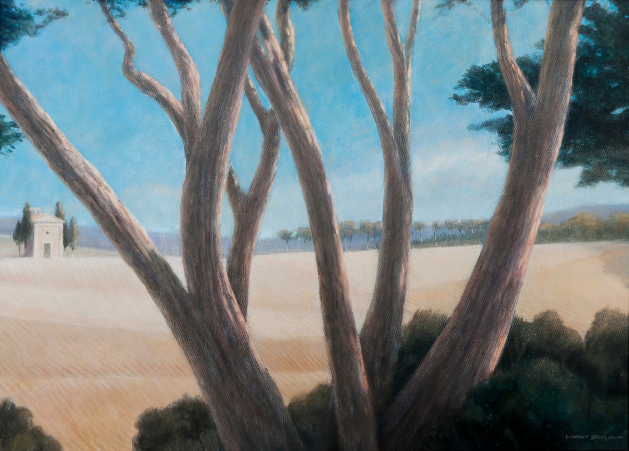 Kiefern bei Pienza, 2012 von Lincoln Seligman