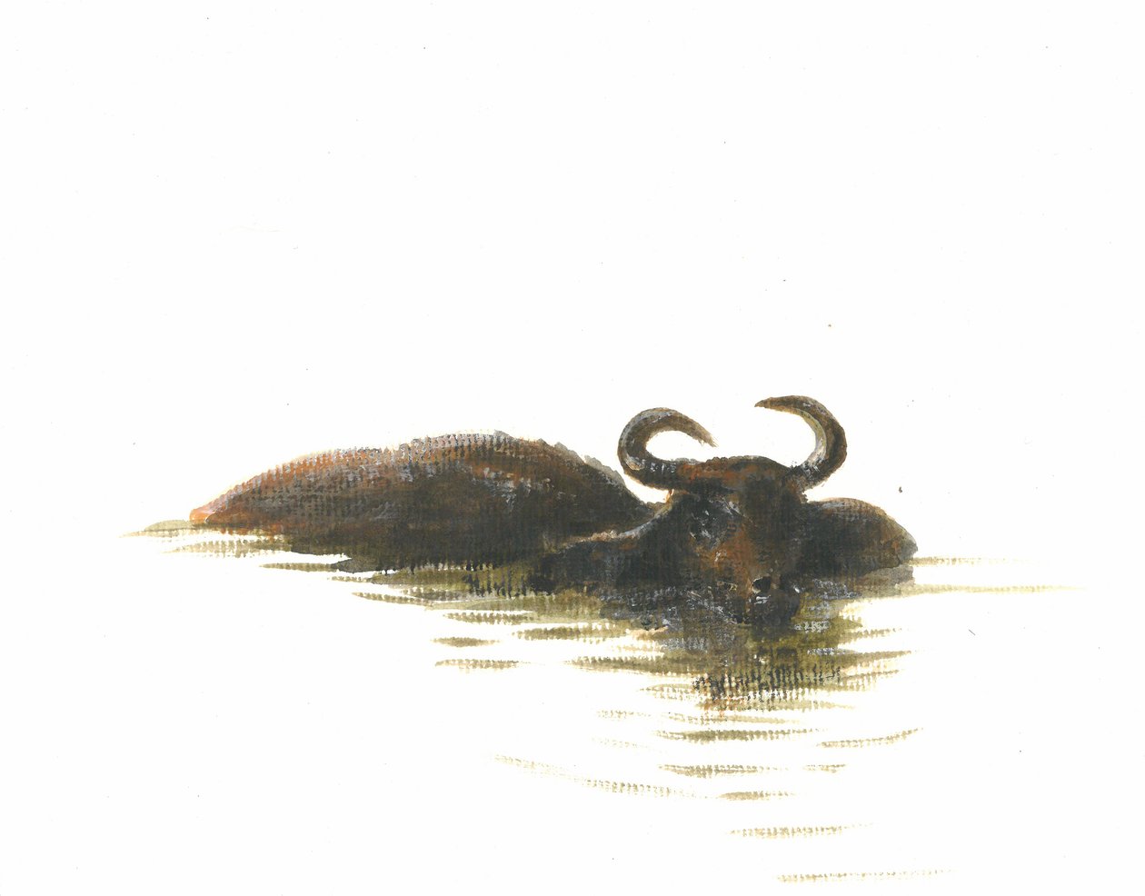Wasserbüffel 2, 2015 von Lincoln Seligman