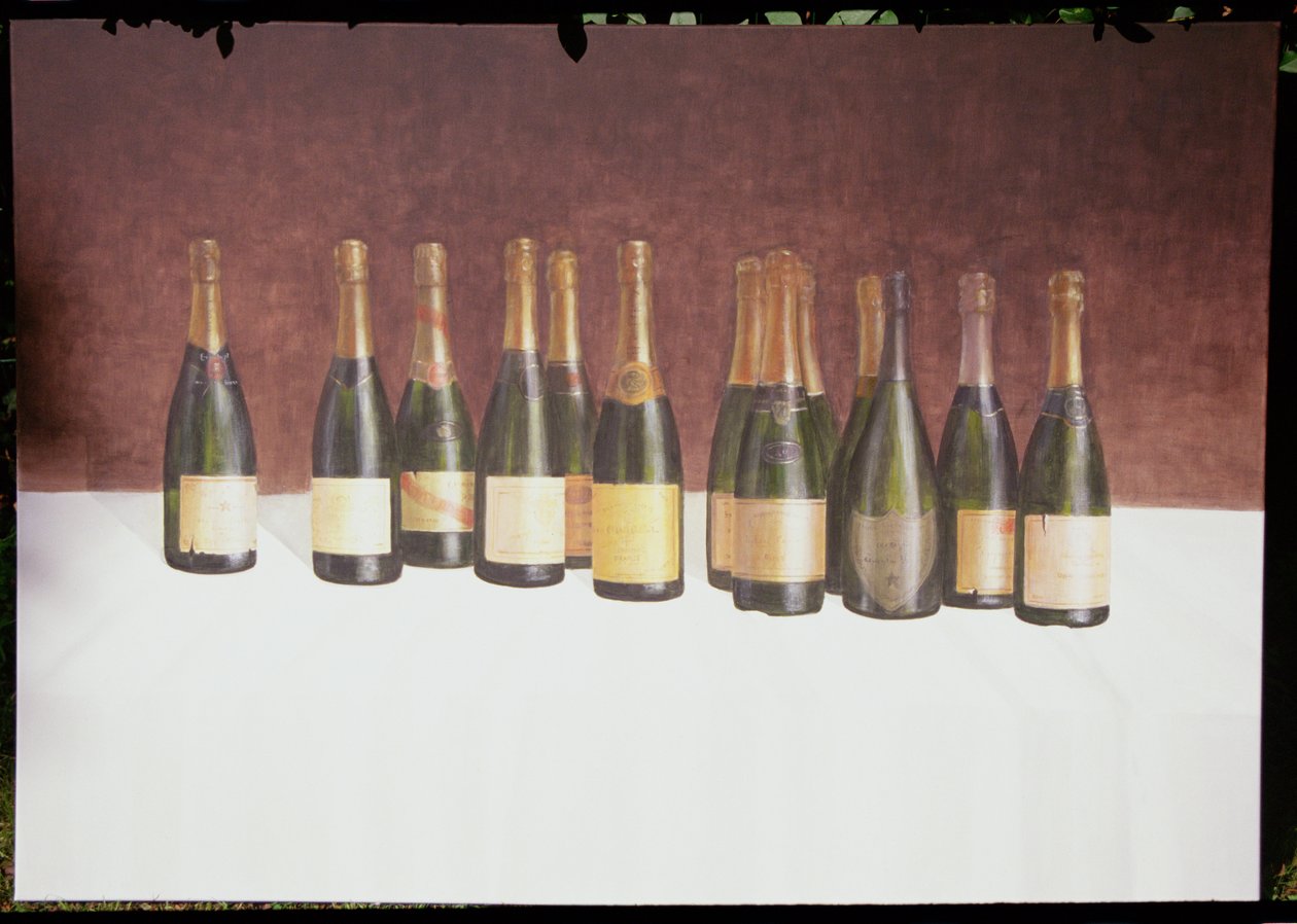 Weinlandschaft, Champagne, 2003 von Lincoln Seligman