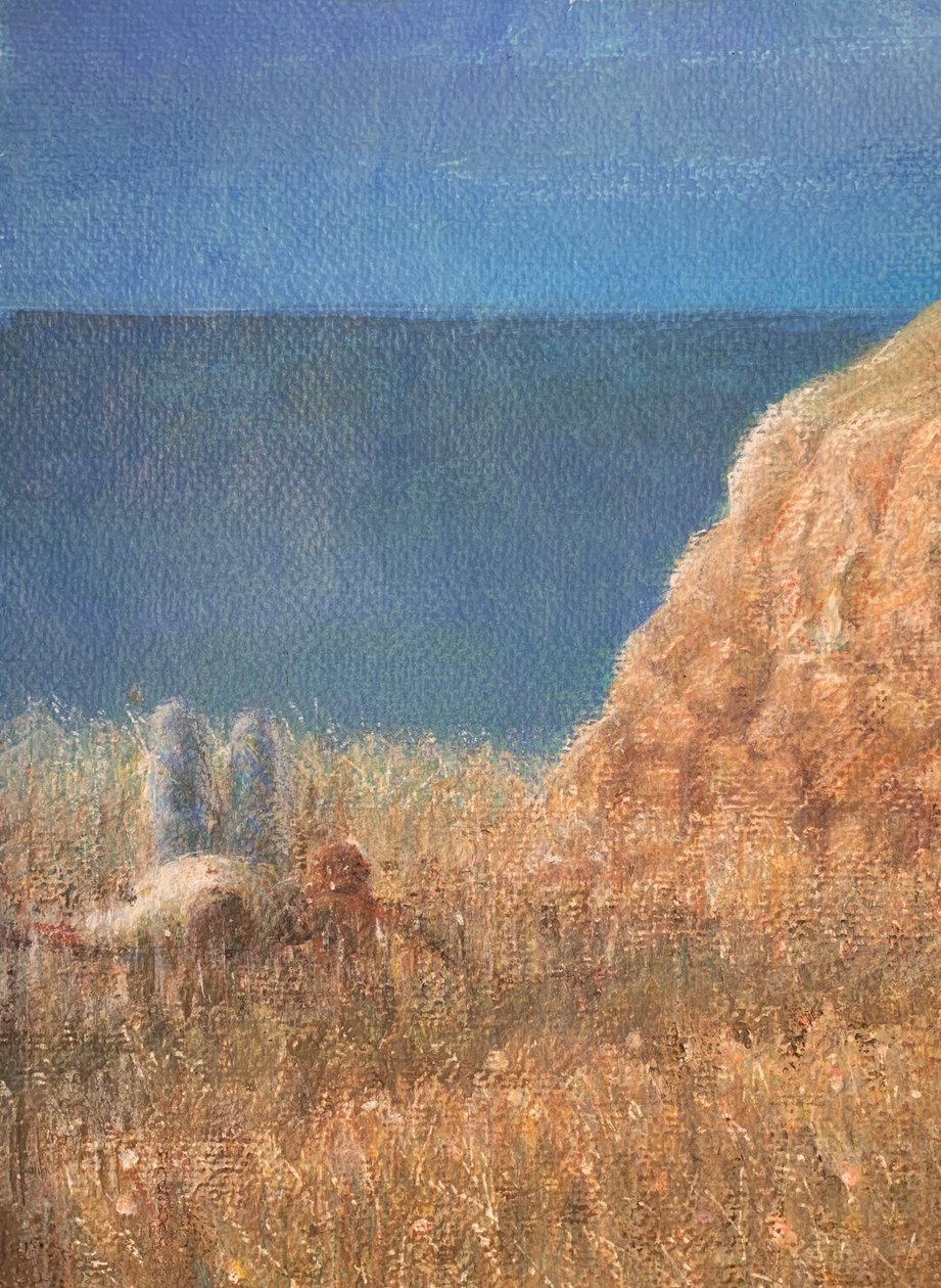 Küstenpfad von Lincoln Seligman