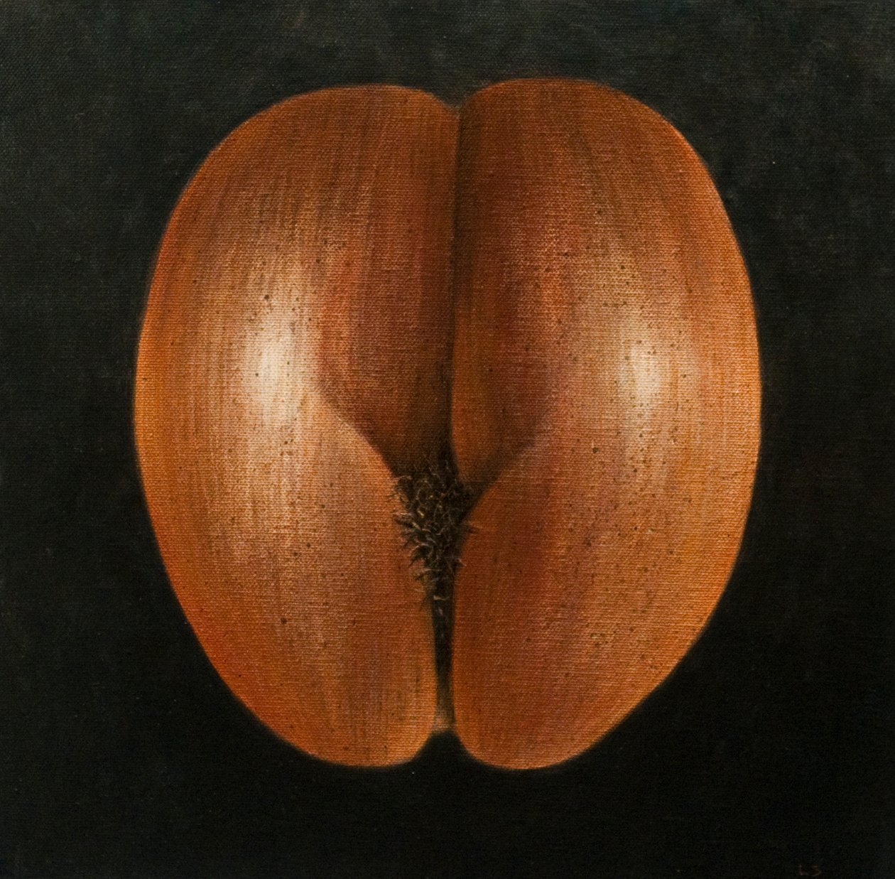 Coco de Mer, 2010 von Lincoln Seligman