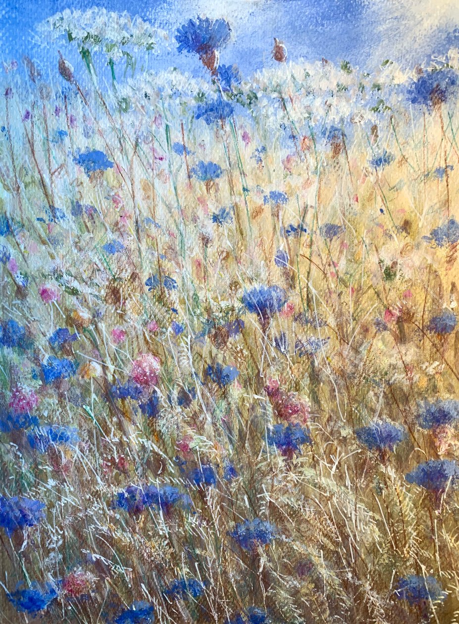 Kornblumen 2 von Lincoln Seligman