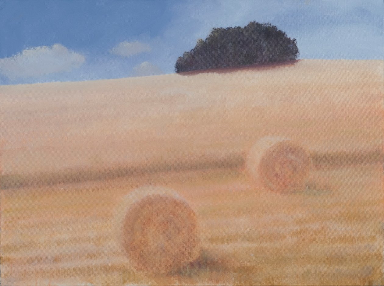 Zwei Heuballen, 2012 von Lincoln Seligman