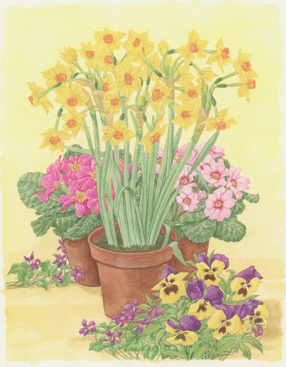Töpfe mit Frühlingsblumen, 2003 von Linda Benton