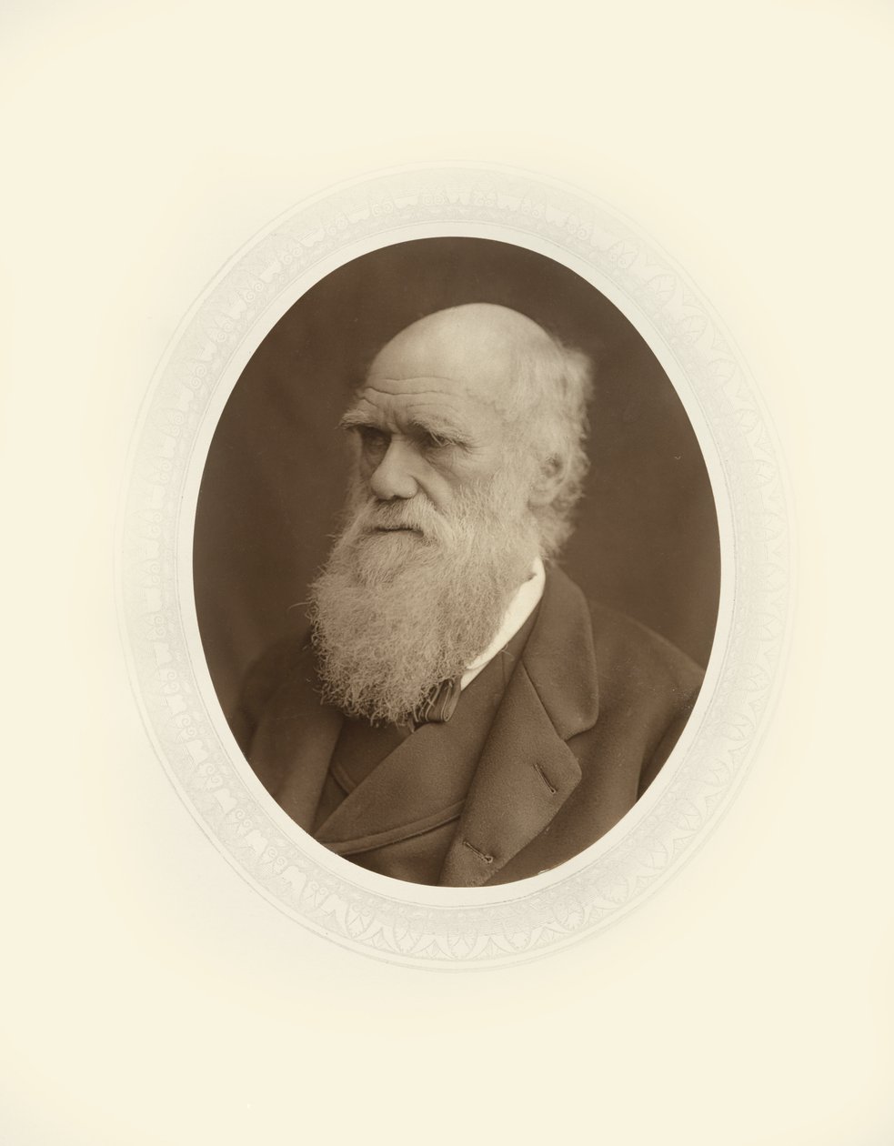 Charles Robert Darwin von Lock and Whitfield
