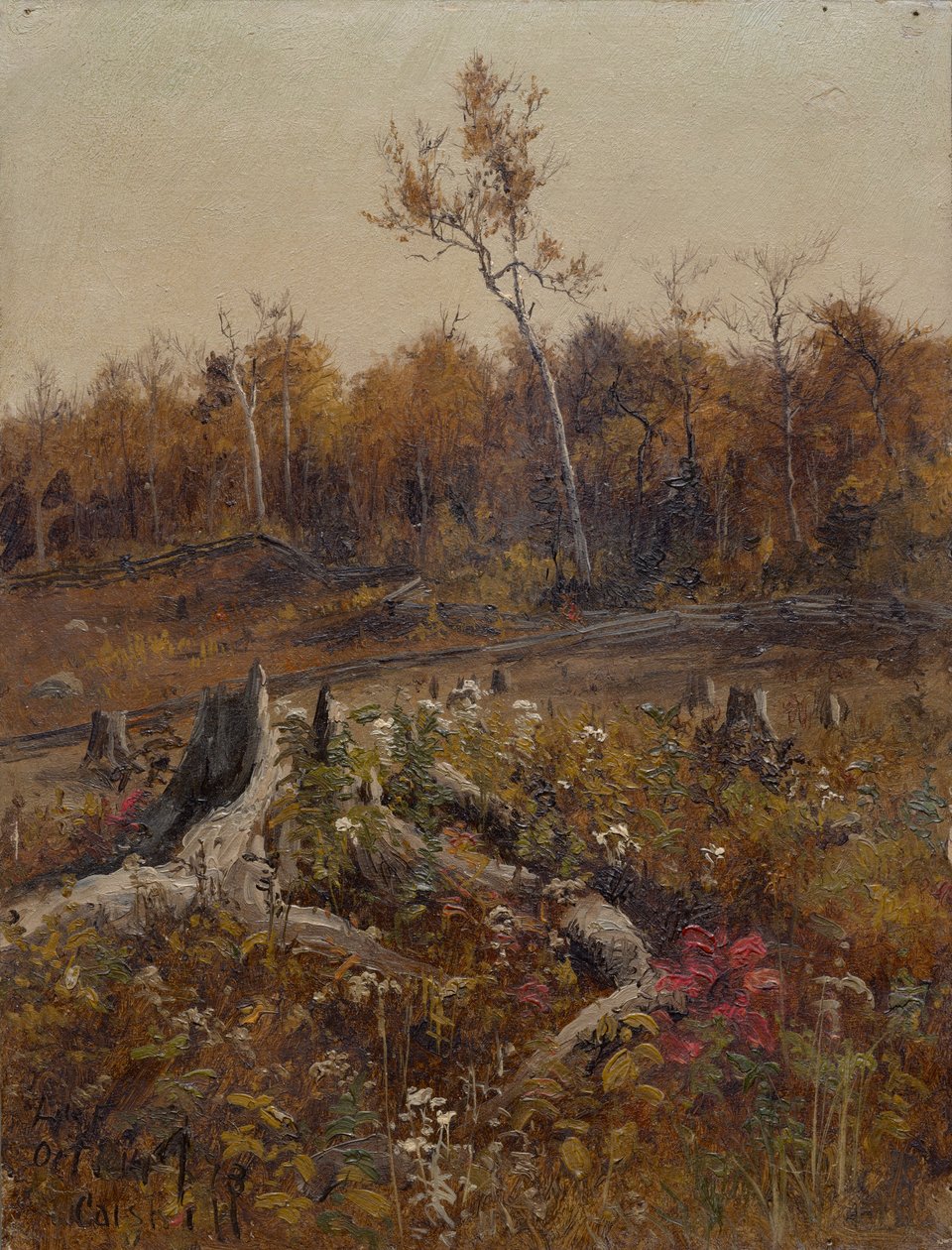 Landschaft von Lockwood de Forest