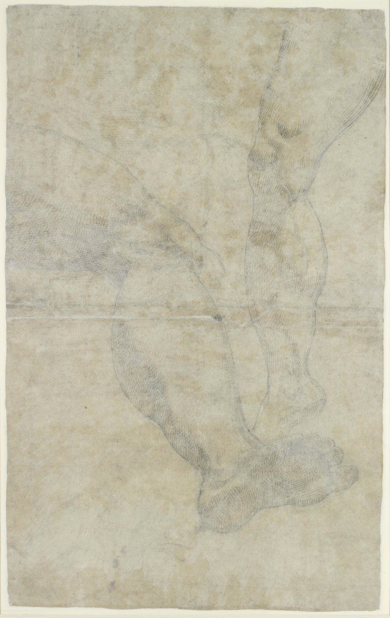 Verso: Studien von zwei Beinpaaren von Lodovico Carracci