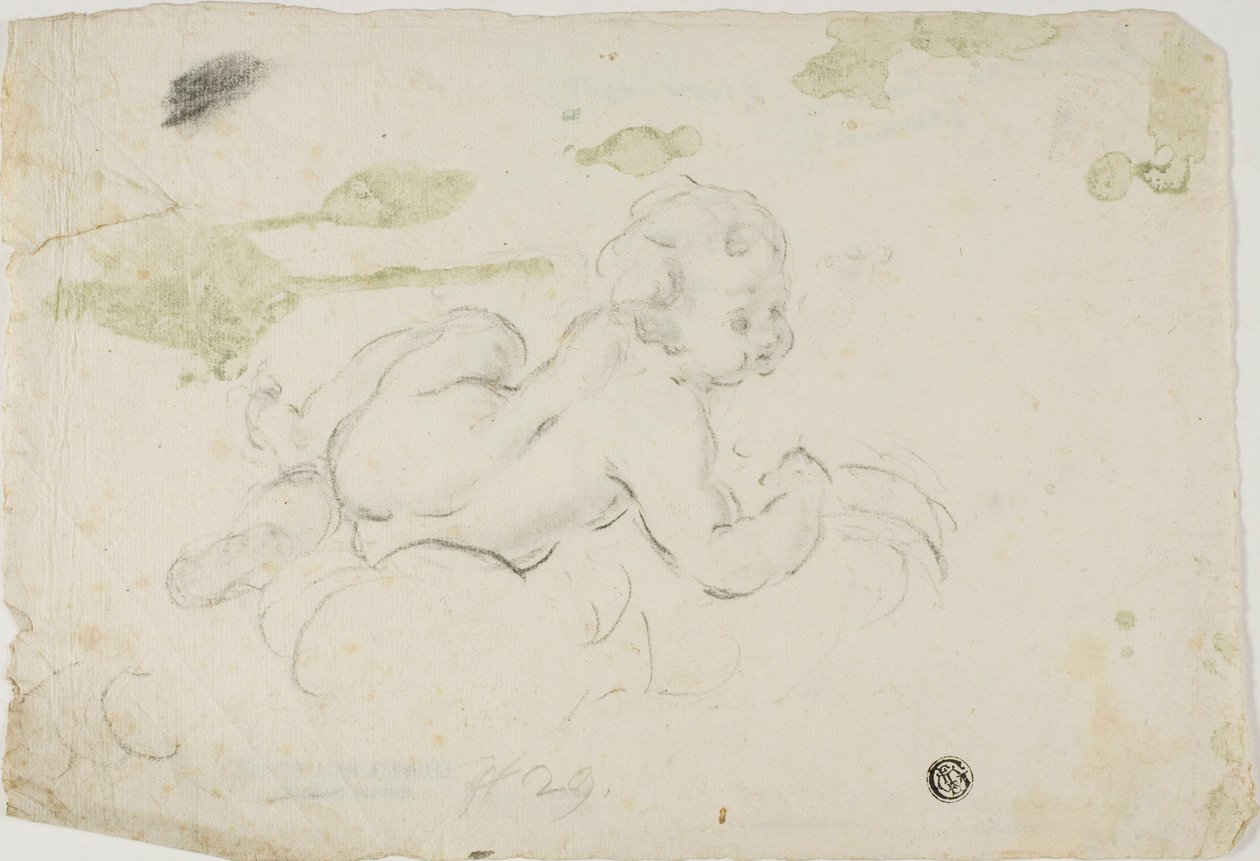 Putto von Lodovico Carracci