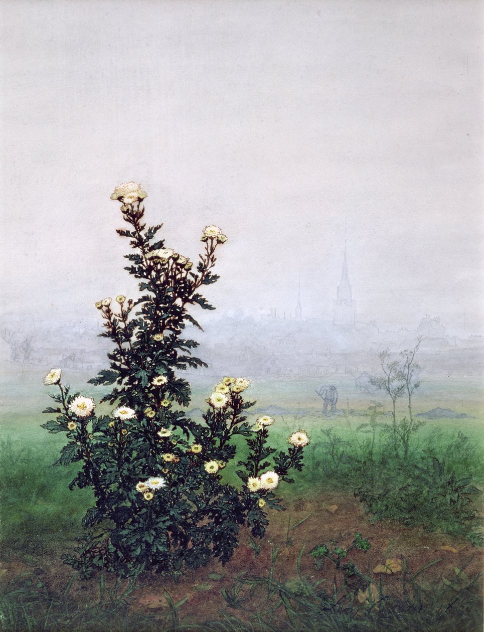 Blühende Chrysantheme mit Arbeiter, 1863 von Léon Bonvin