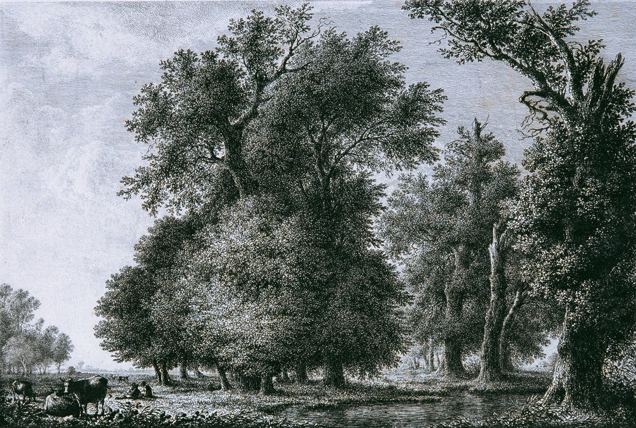 Landschaft mit Eichen von Lorenz Adolf Schönberger
