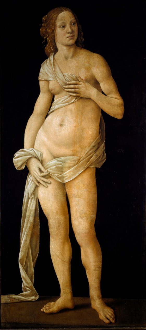 Venus von Lorenzo di Credi