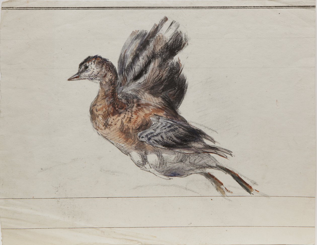 Zeichnung von Louis Marie Faudacq
