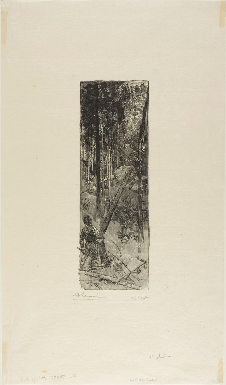 Fallende Kiefern von Louis Auguste Lepère