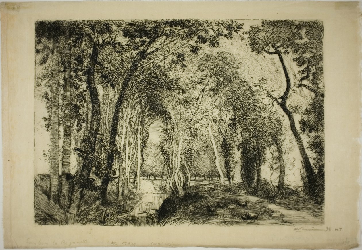 Unter Bäumen, bei der Rigonette von Louis Auguste Lepère
