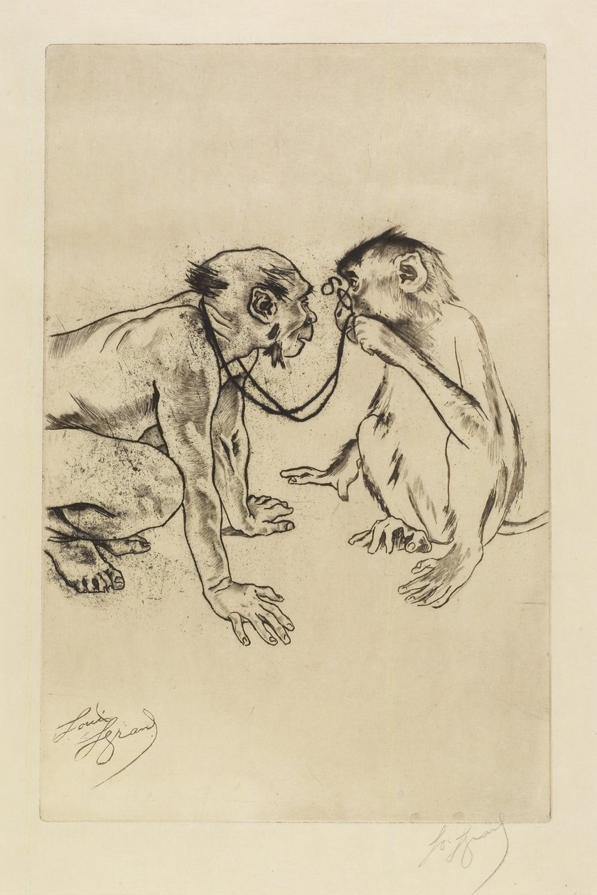 Vergleichende Anatomie von Louis Auguste Mathieu Legrand
