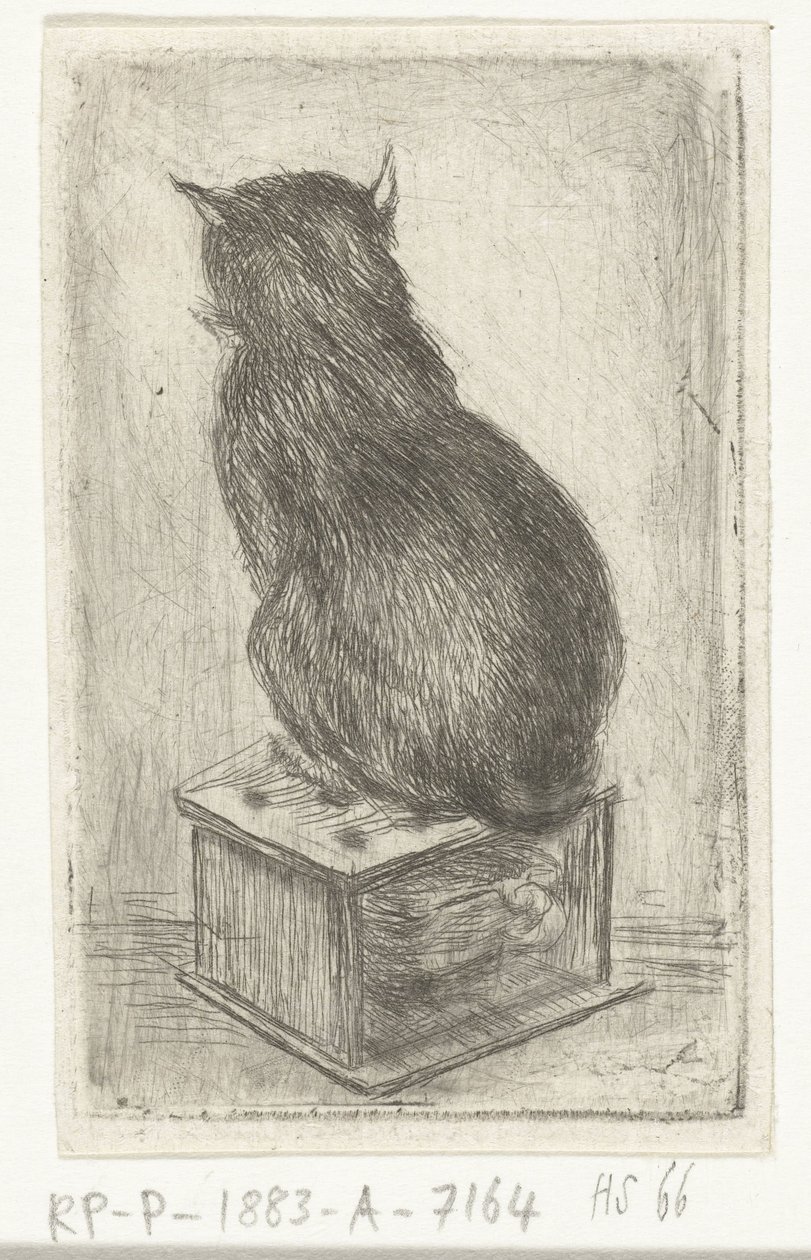 Katze sitzt auf einem Hocker von Louis Bernard Coclers