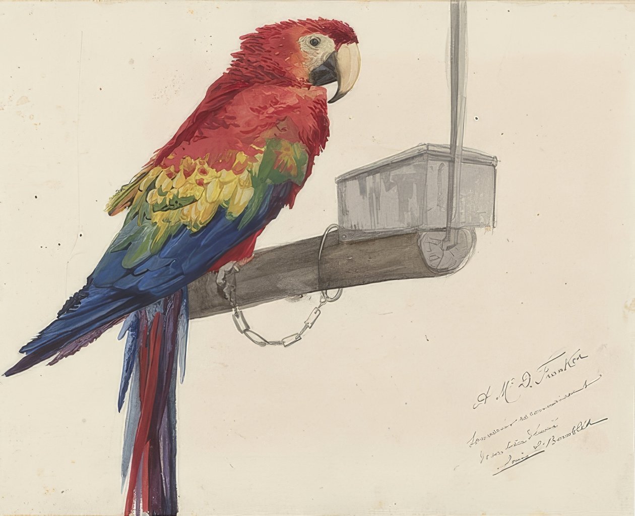 Papagei von Louis Charles Bombled