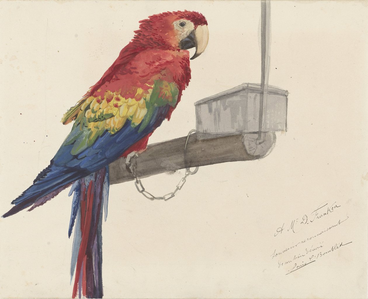 Papagei von Louis Charles Bombled