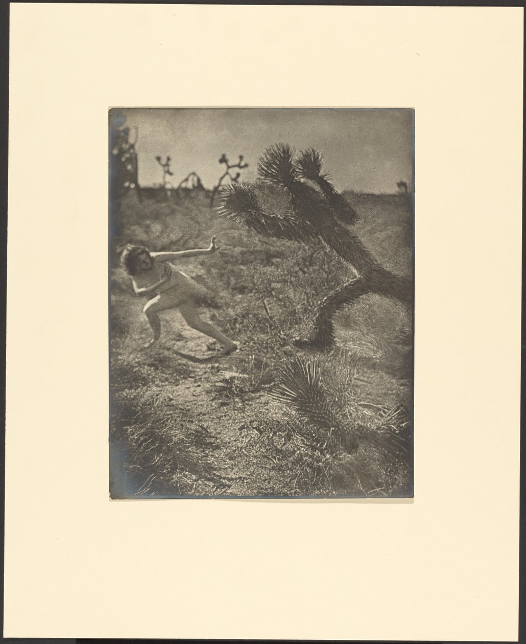 Bogeymann der Wüste von Louis Fleckenstein
