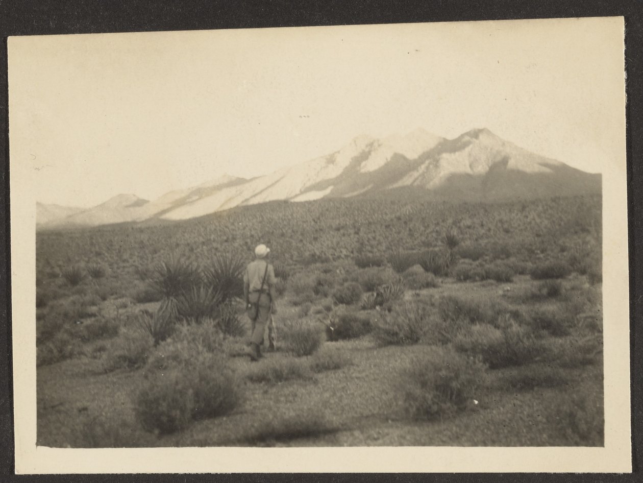 Figur in Landschaft von Louis Fleckenstein