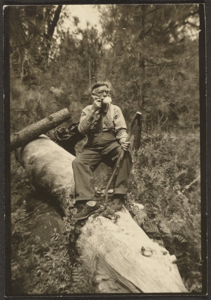 Fleckenstein auf einem Baumstamm von Louis Fleckenstein