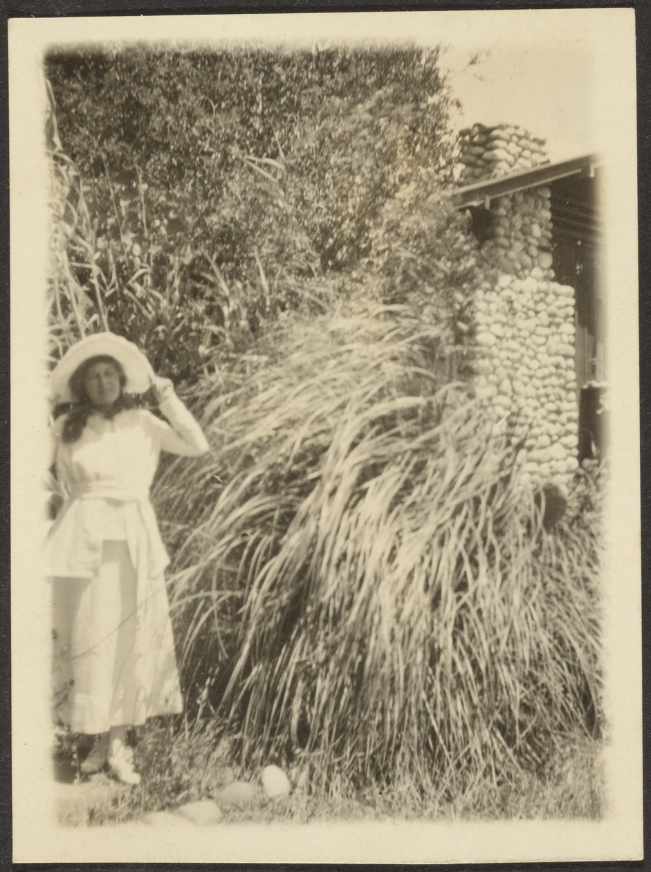 Florenz und Wildgras von Louis Fleckenstein