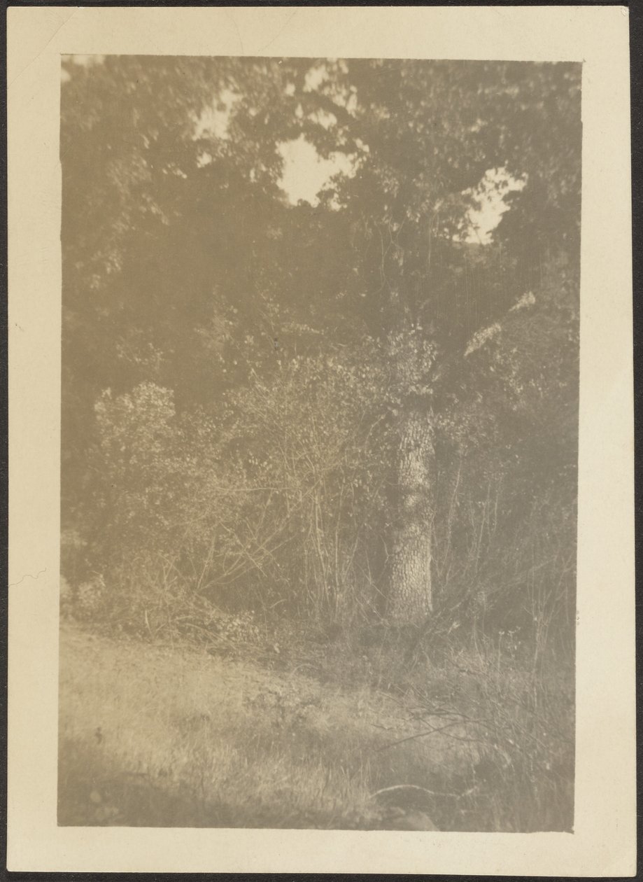 [Landschaft] von Louis Fleckenstein