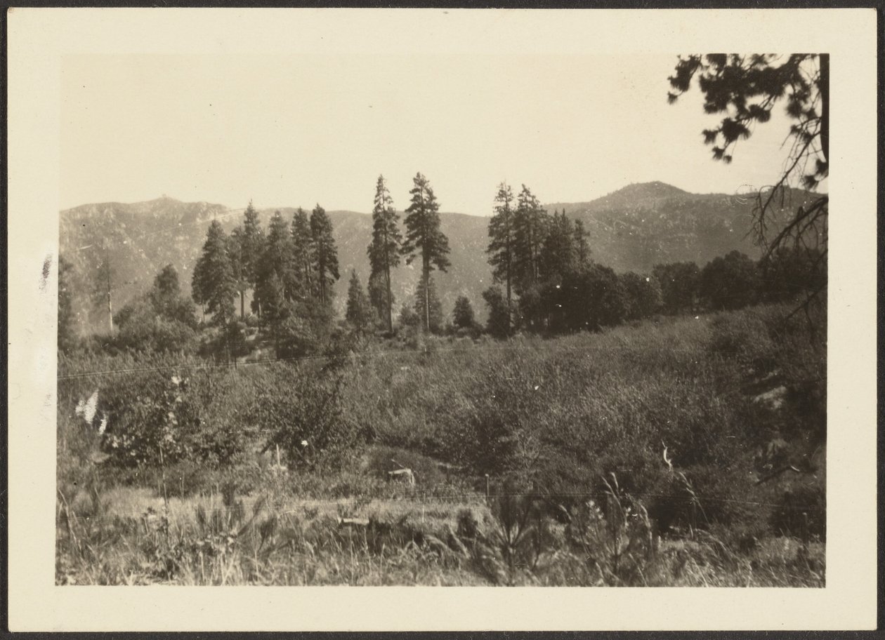 [Landschaft] von Louis Fleckenstein