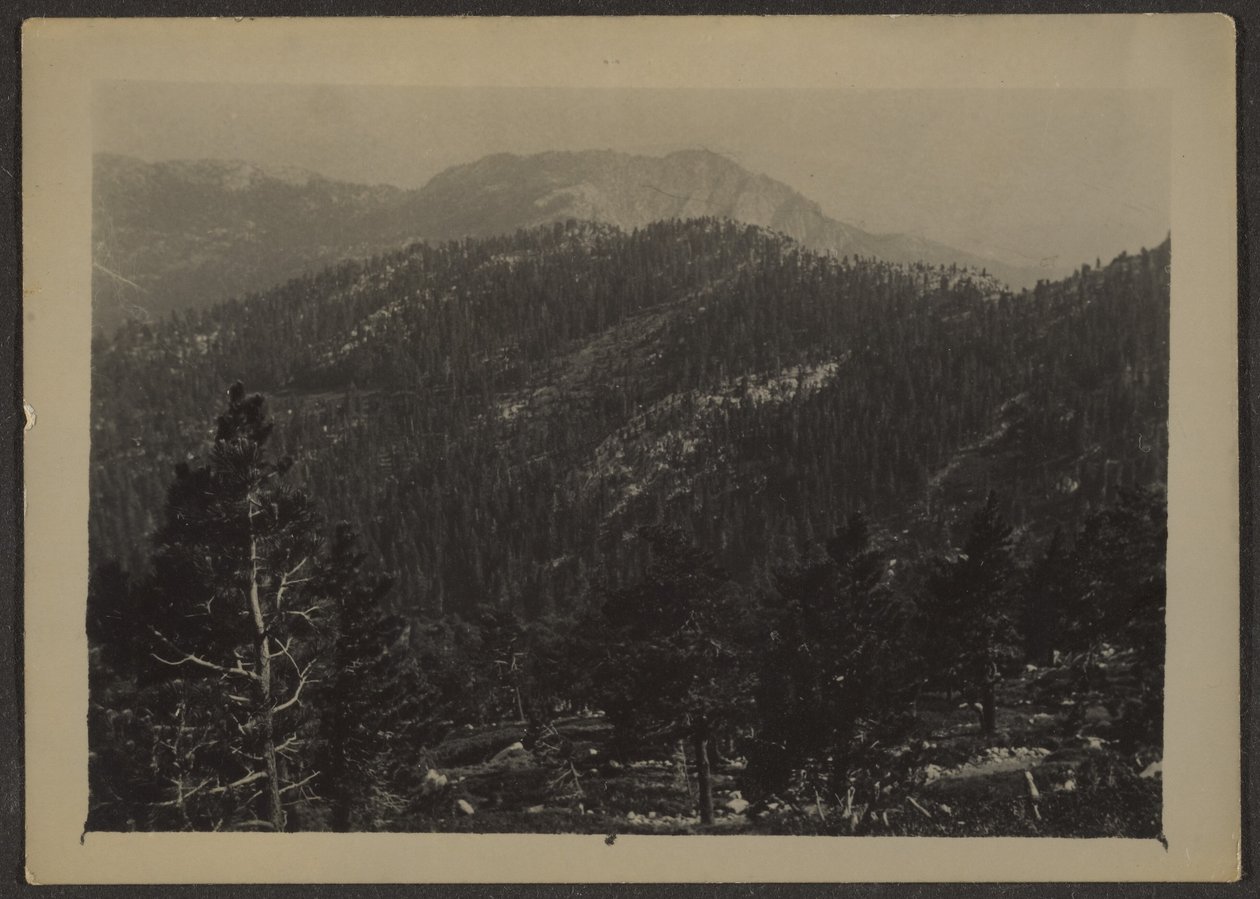 [Landschaft] von Louis Fleckenstein