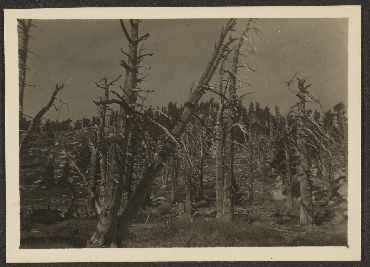 Landschaft von Louis Fleckenstein