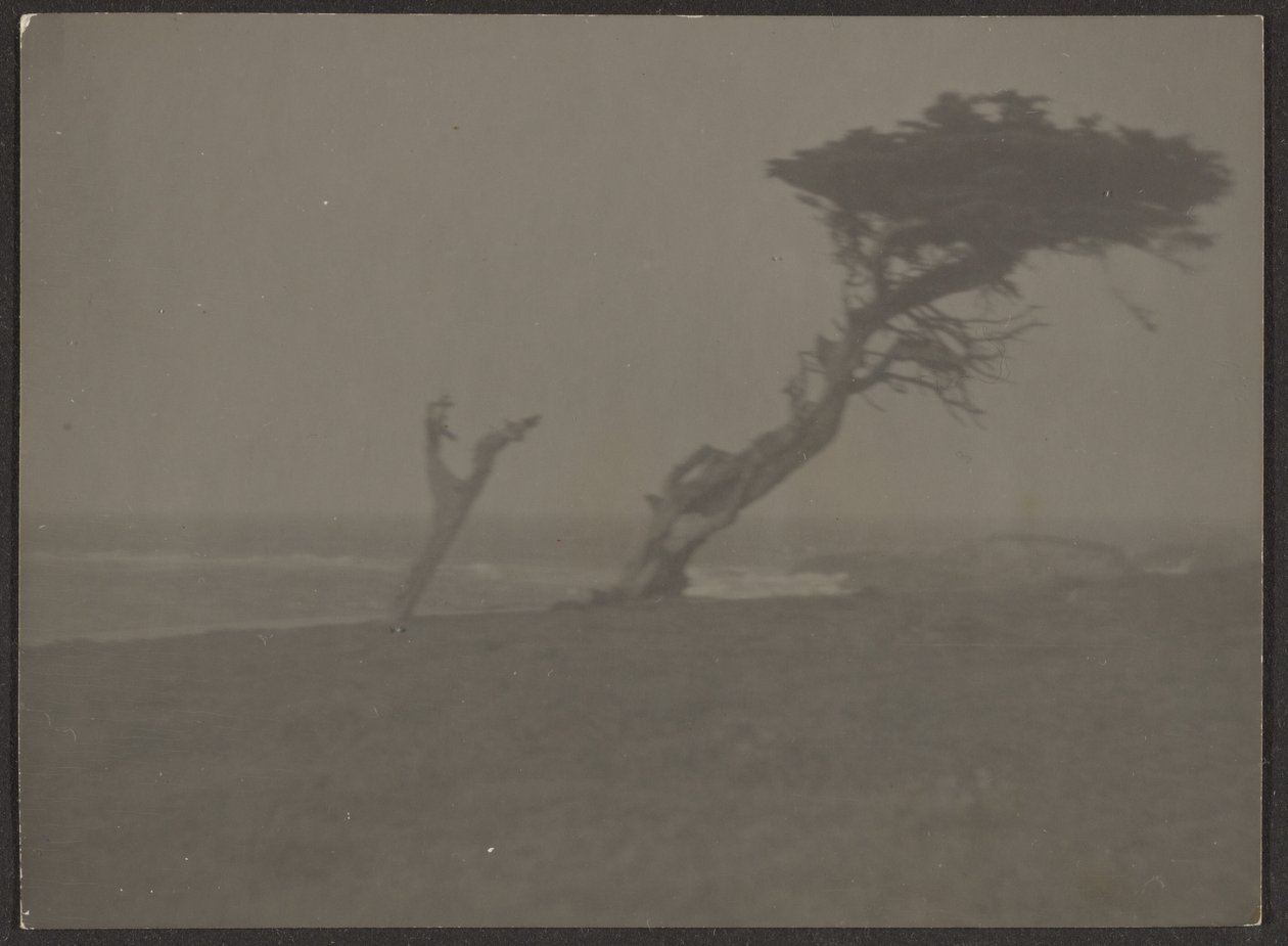 [Landschaft] von Louis Fleckenstein