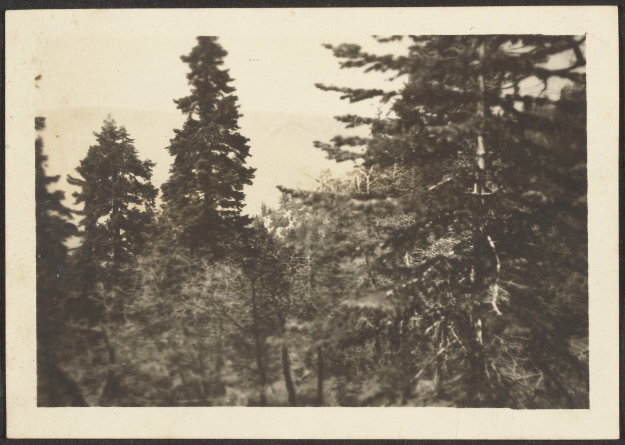 Landschaft von Louis Fleckenstein