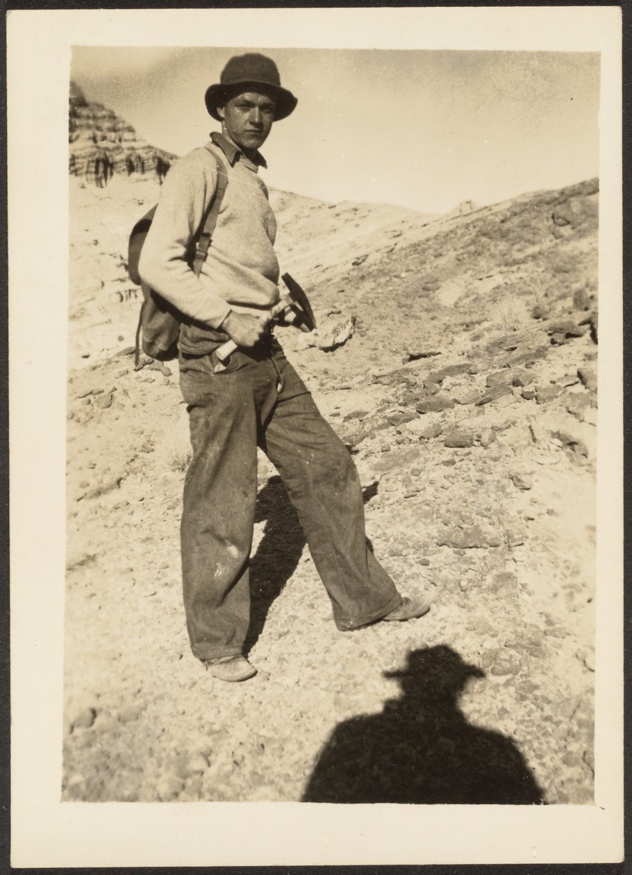 Bergsteiger von Louis Fleckenstein
