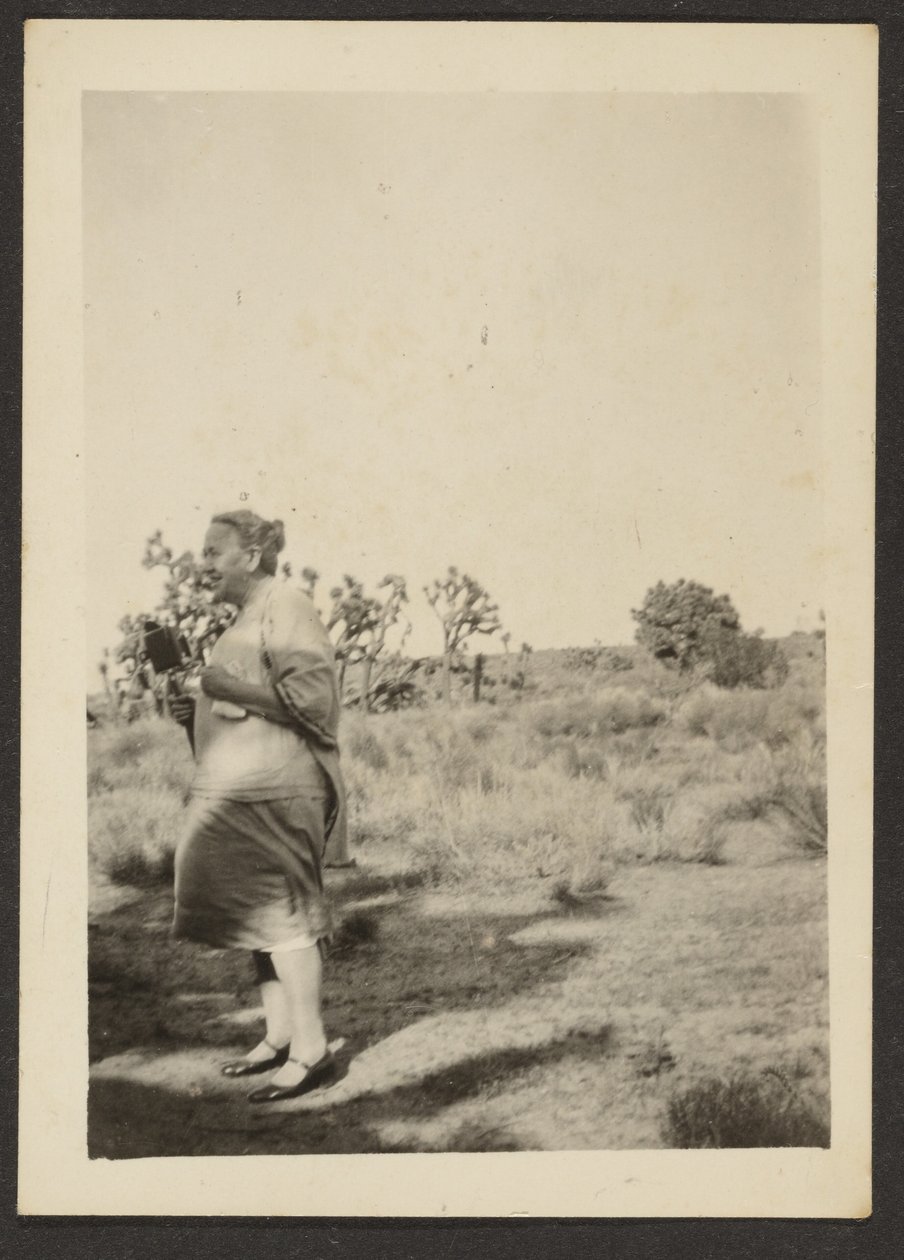 Frau Fleckenstein in der Landschaft von Louis Fleckenstein
