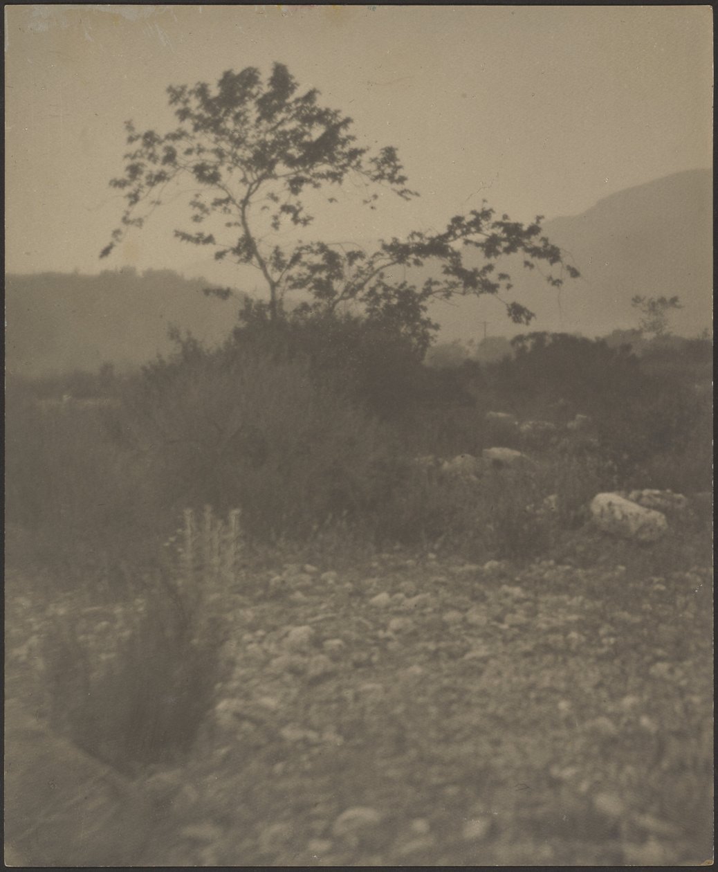 Felsige Landschaft von Louis Fleckenstein